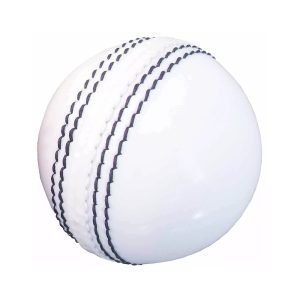 Speedy Sports Wear Leather Cricket Balls – Pro Performance
