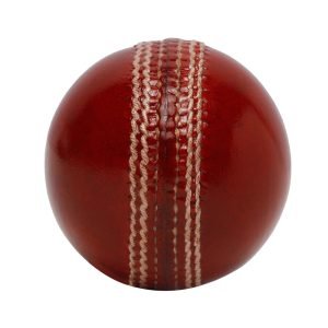 Speedy Sports Wear Leather Cricket Balls – Pro Performance