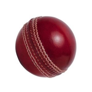 Speedy Sports Wear Leather Cricket Balls – Pro Performance
